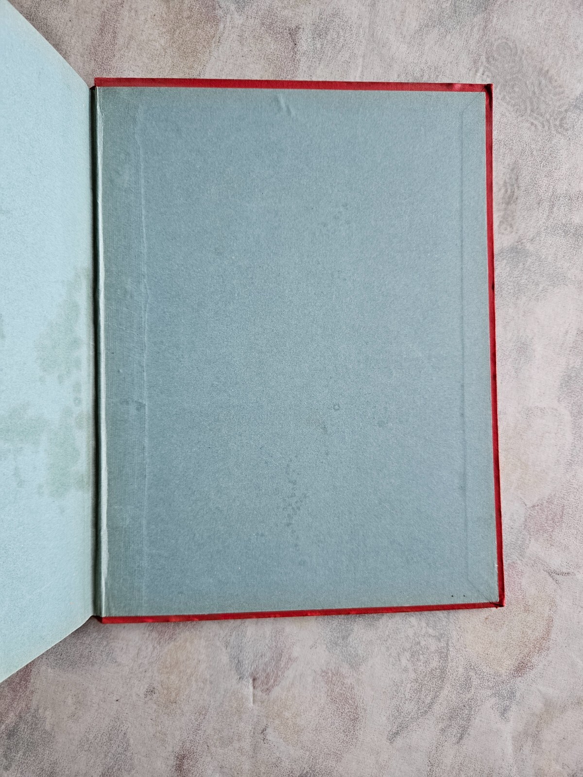Image 21