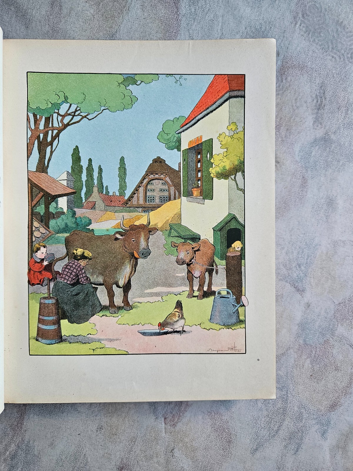 Image 8