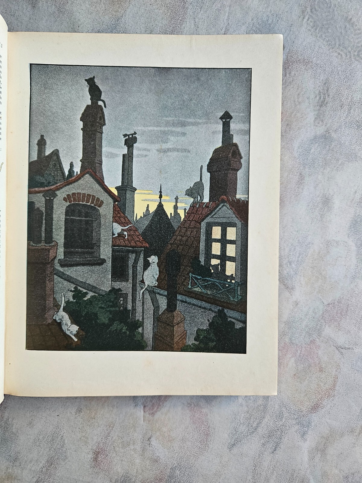 Image 9