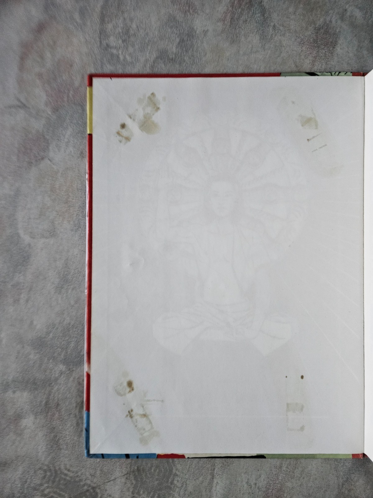 Image 5