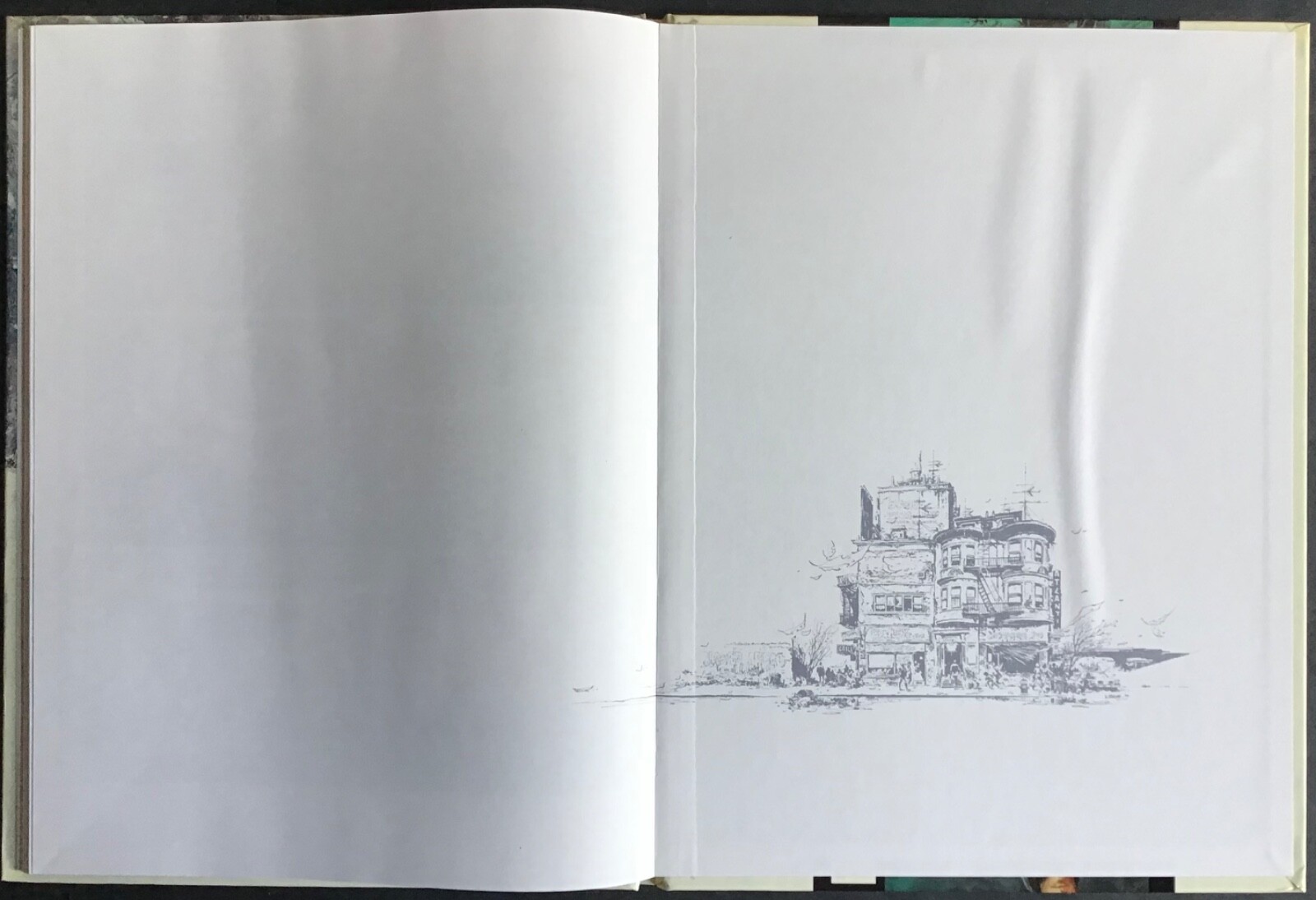 Image 11