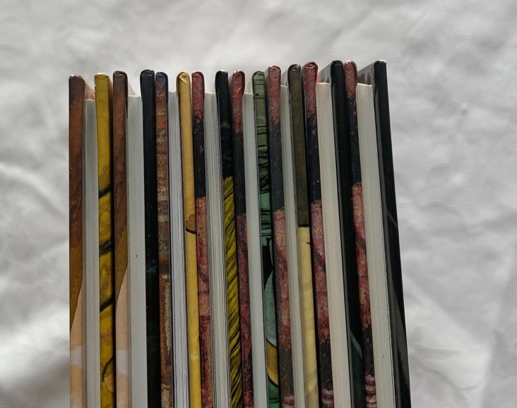 Image 5