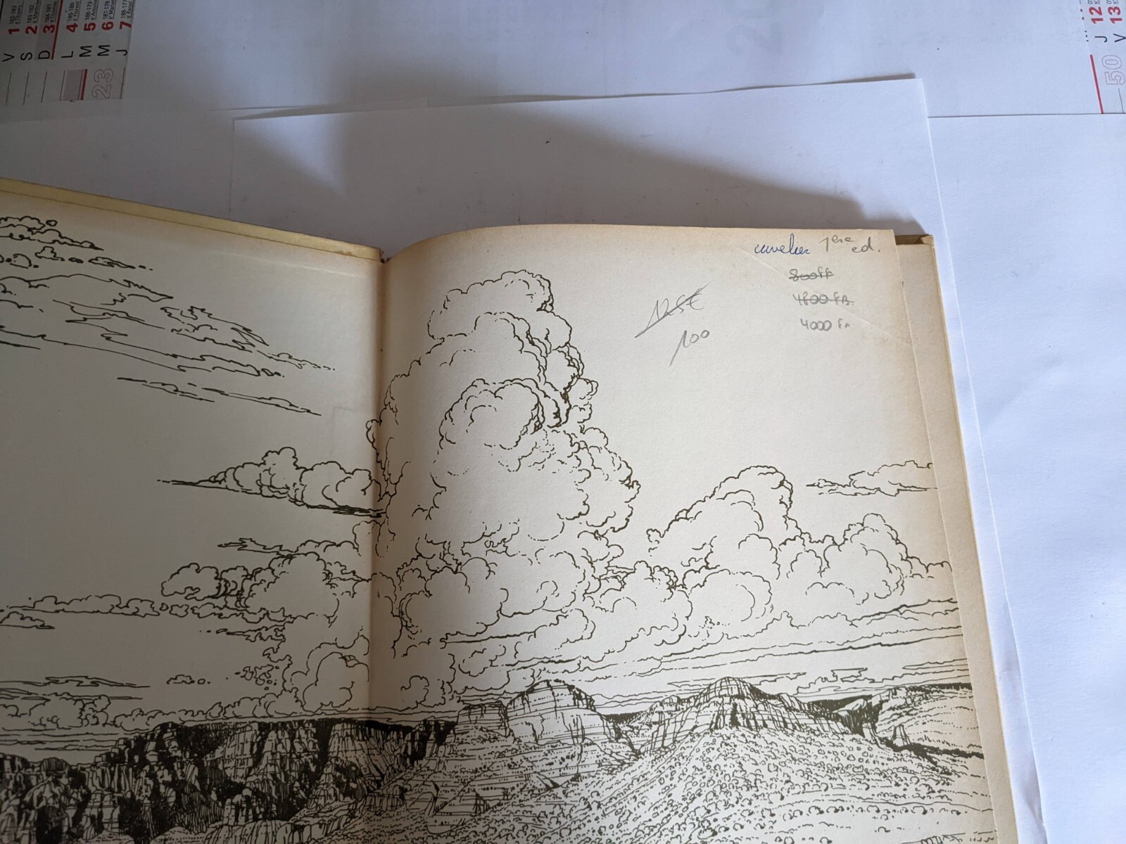 Image 5