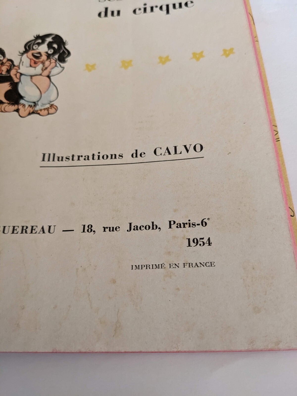Image 8