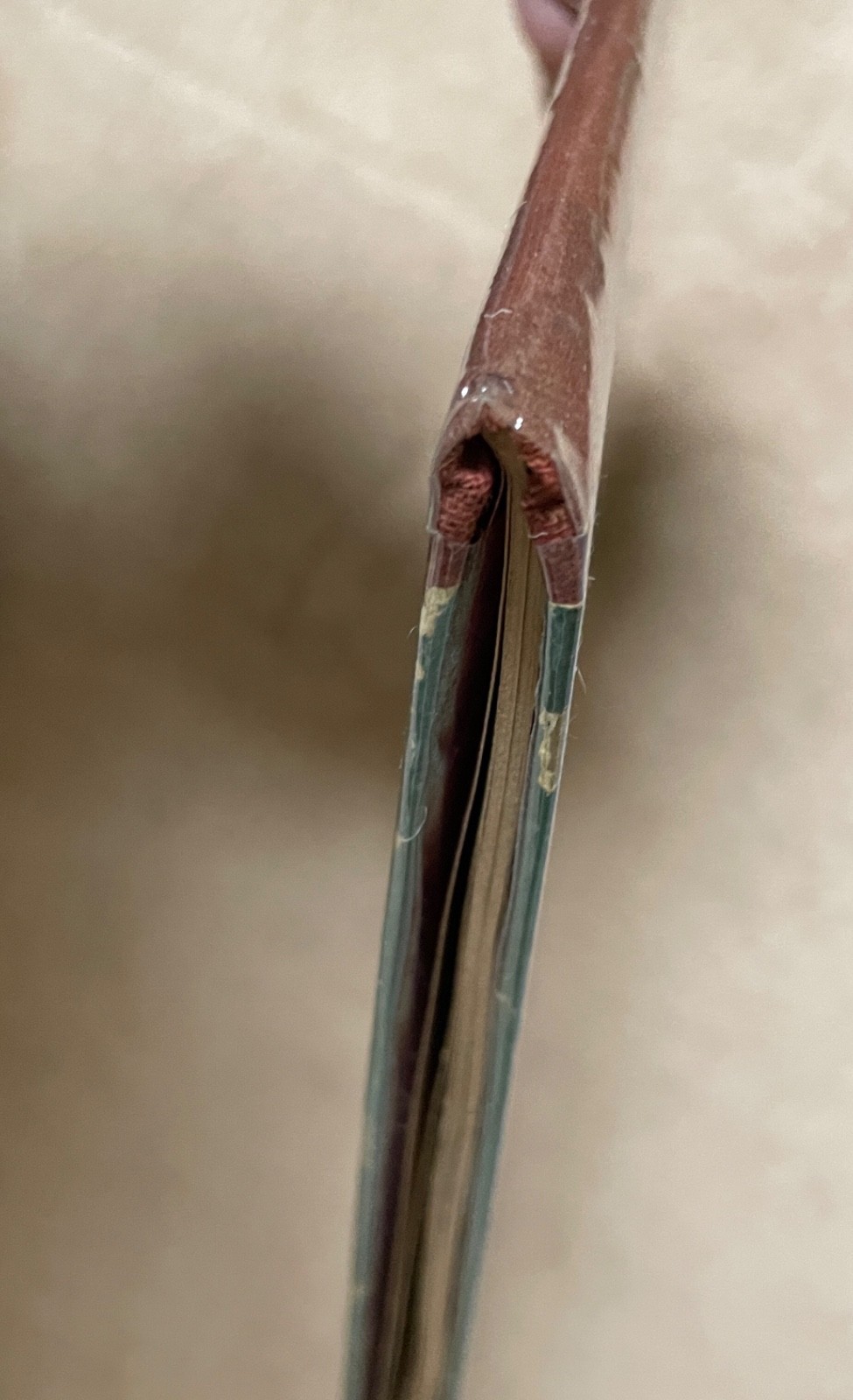Image 6