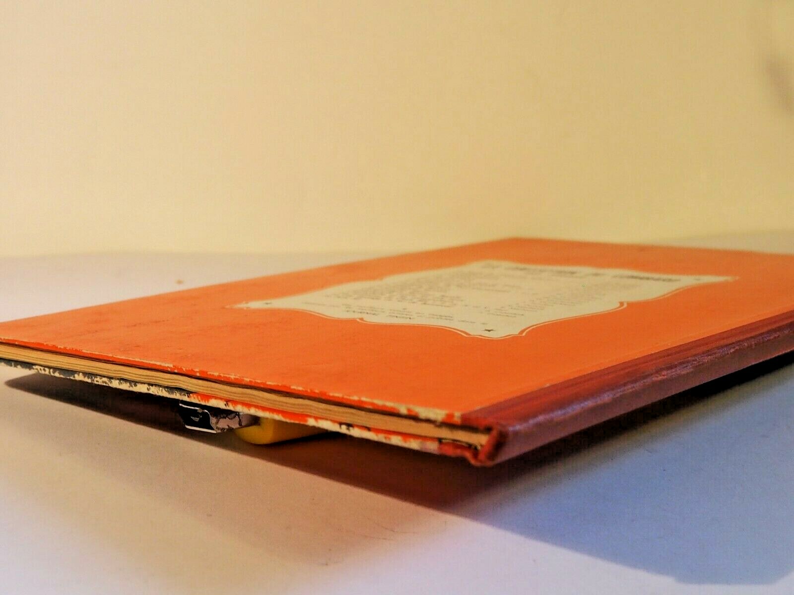 Image 5