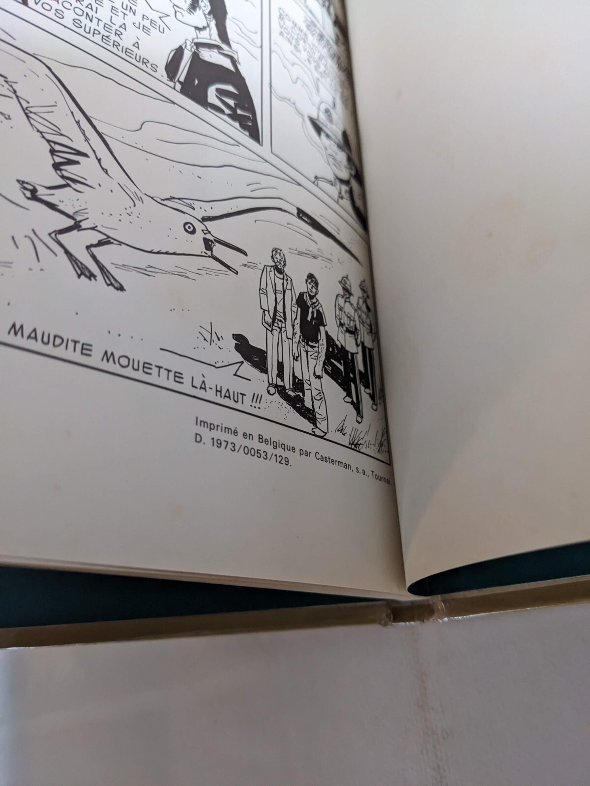 Image 8