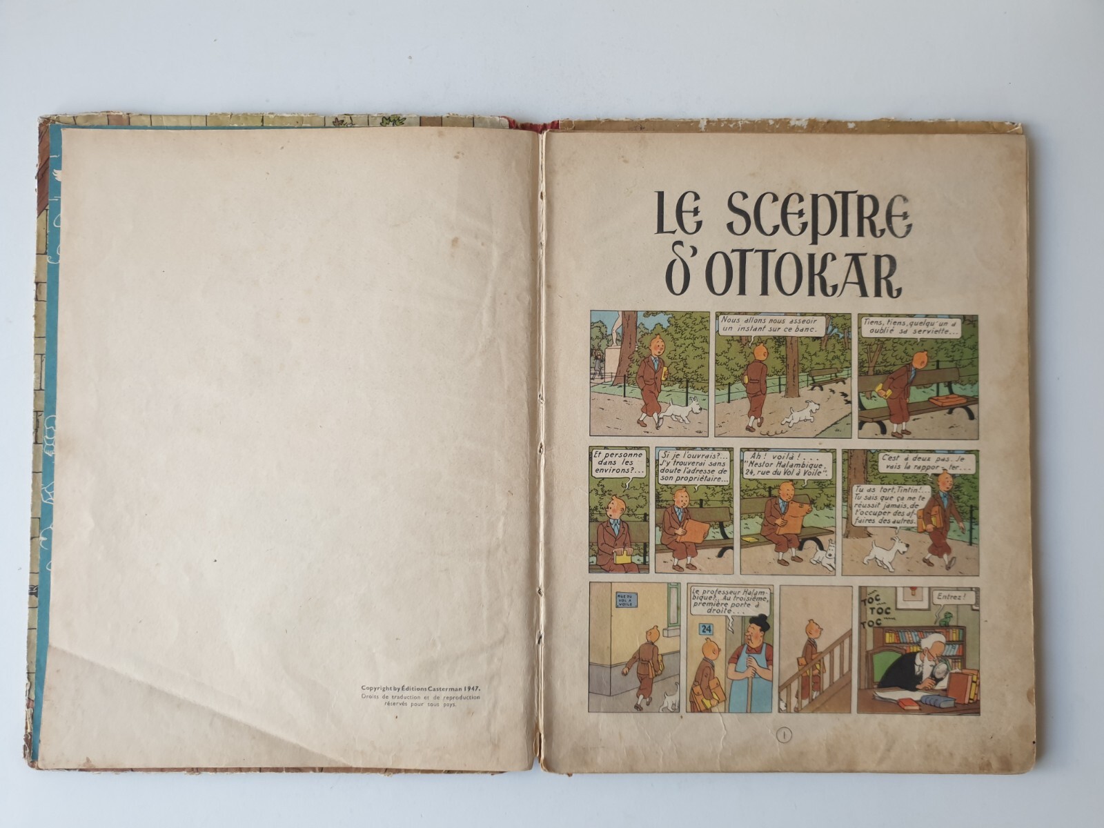 Image 7