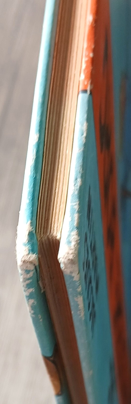 Image 11