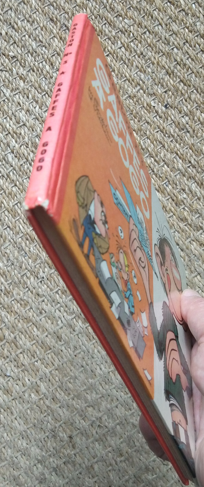 Image 7