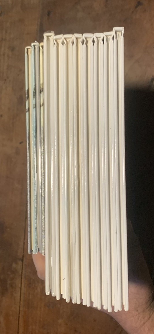 Image 5