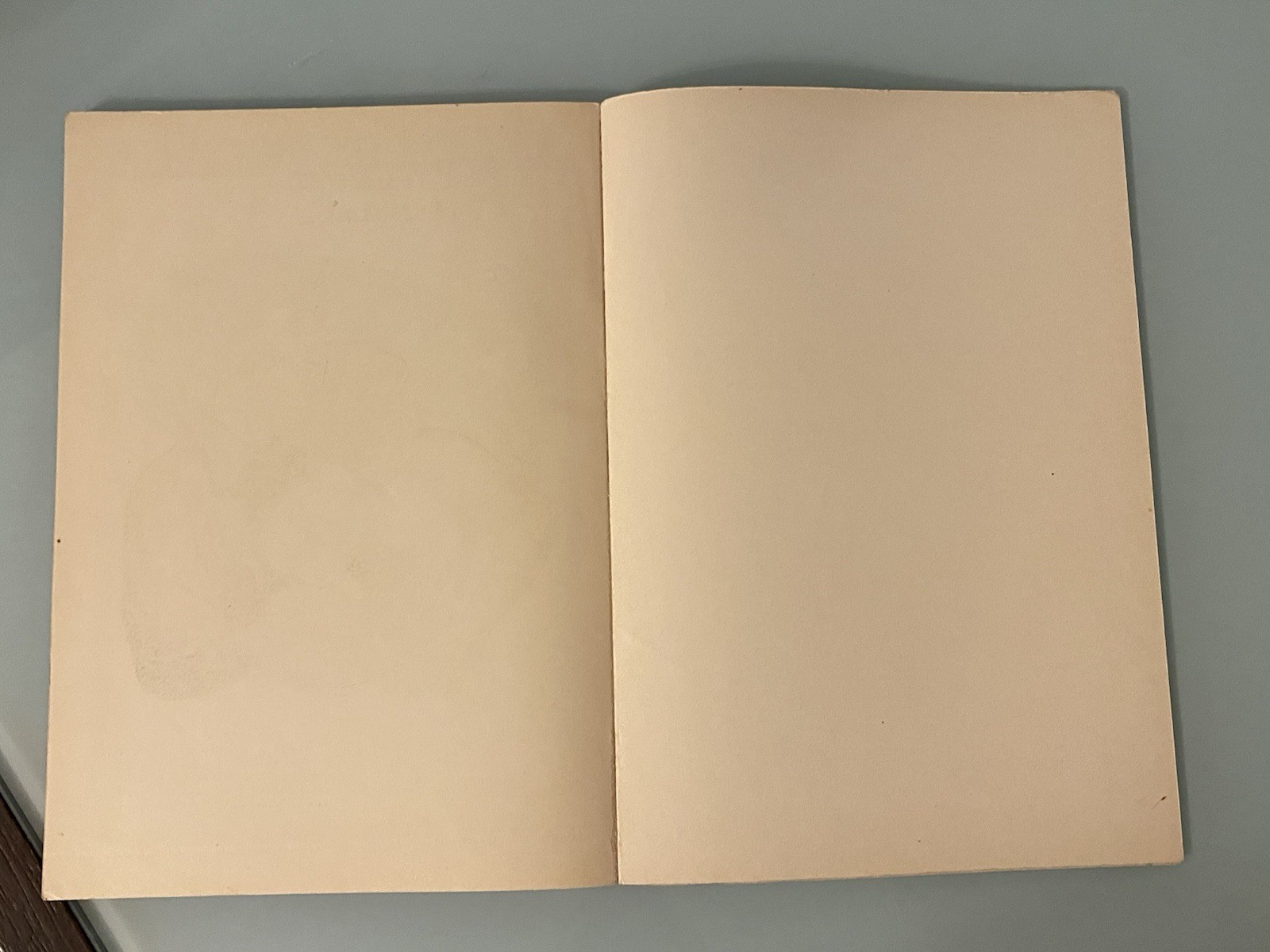 Image 13