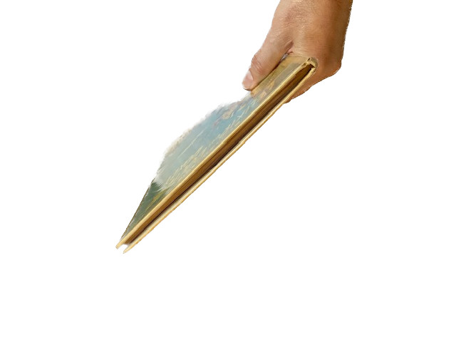 Image 4