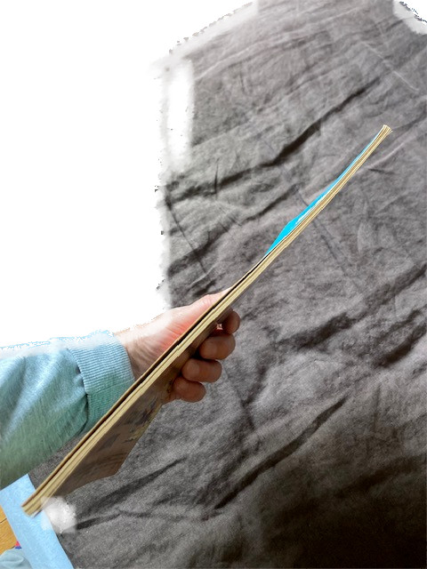 Image 5