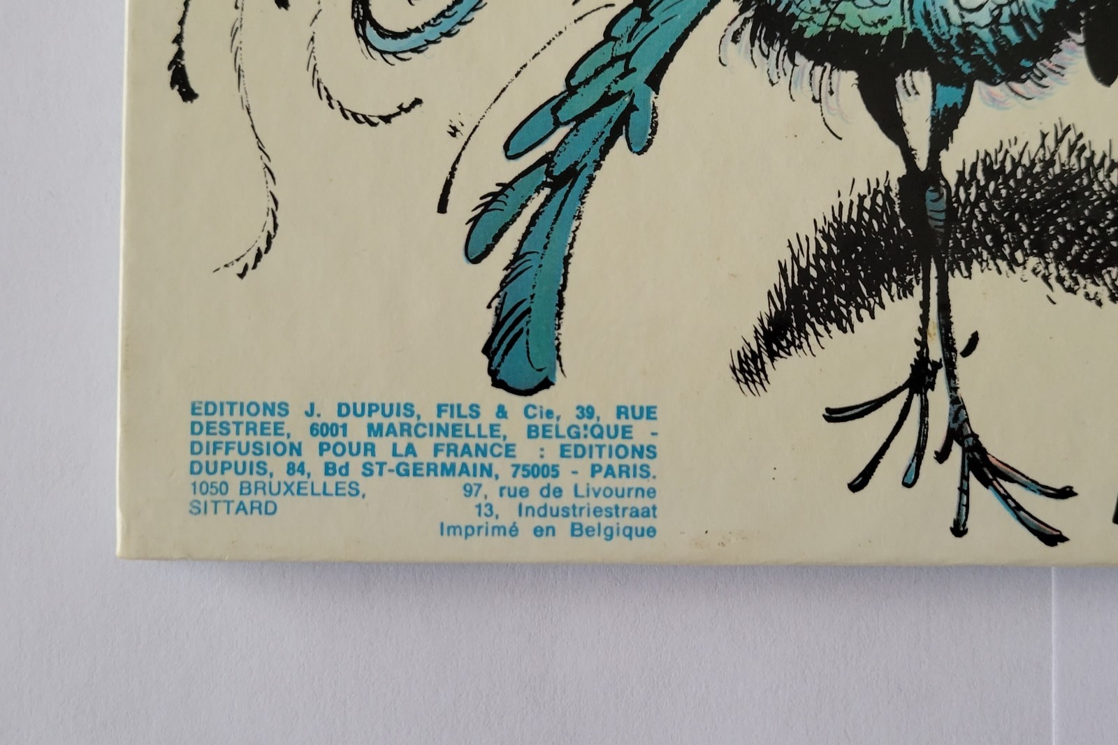 Image 2