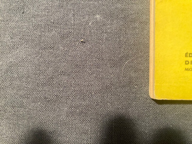 Image 10