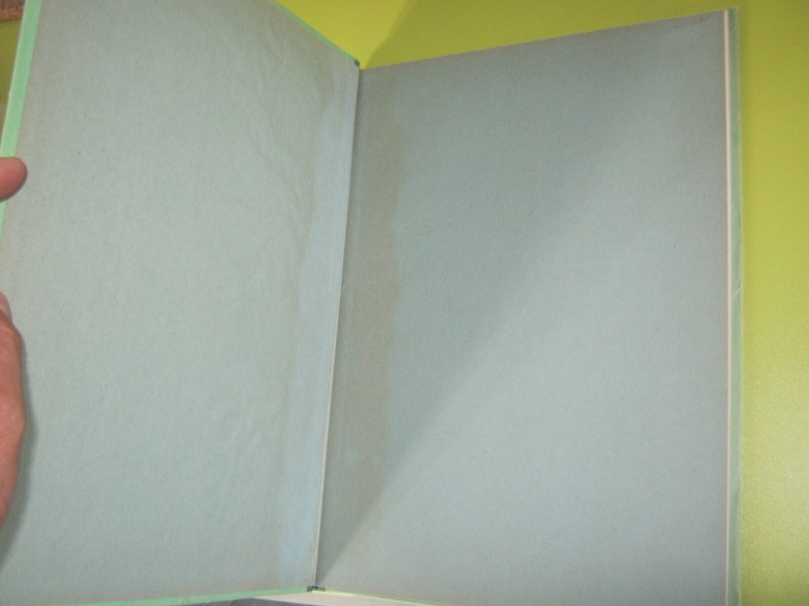 Image 6