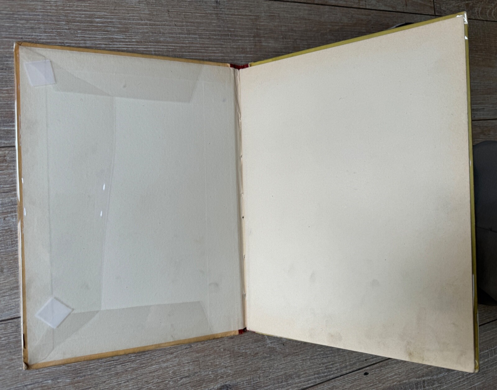 Image 4