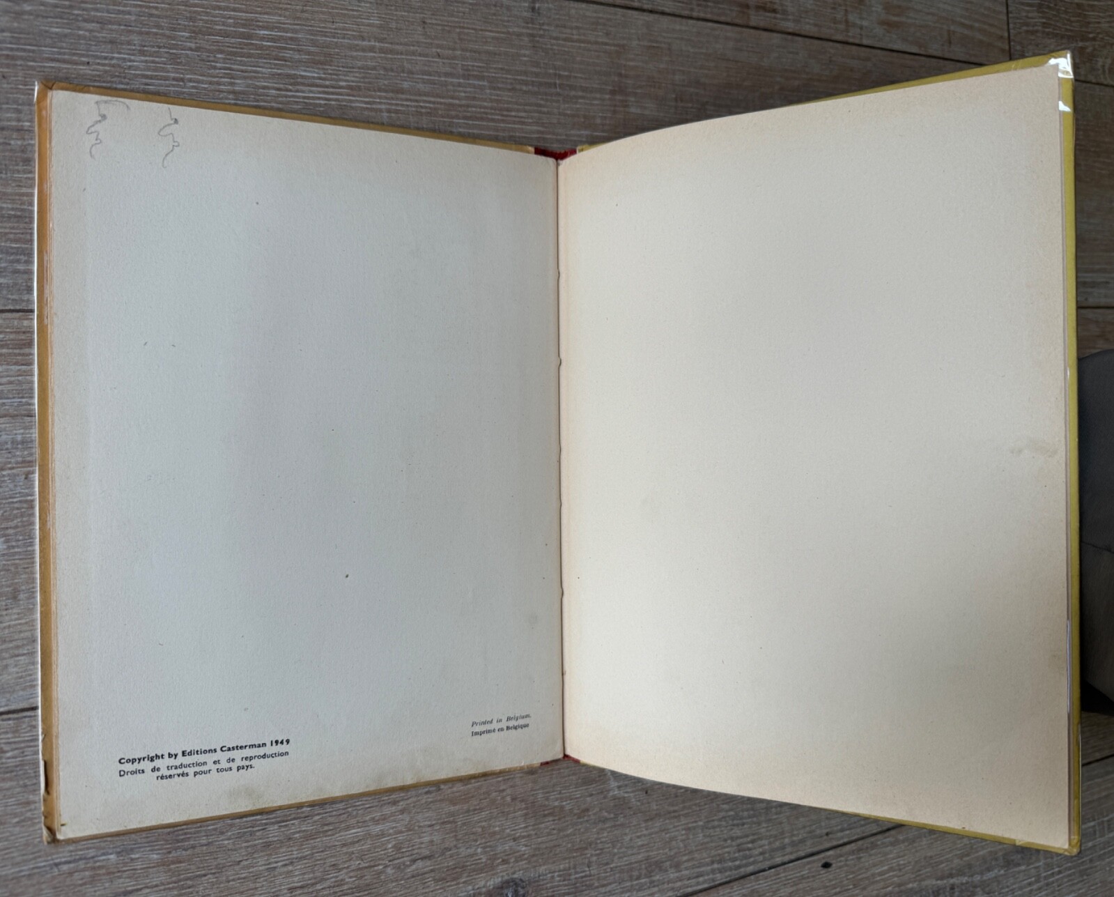 Image 8