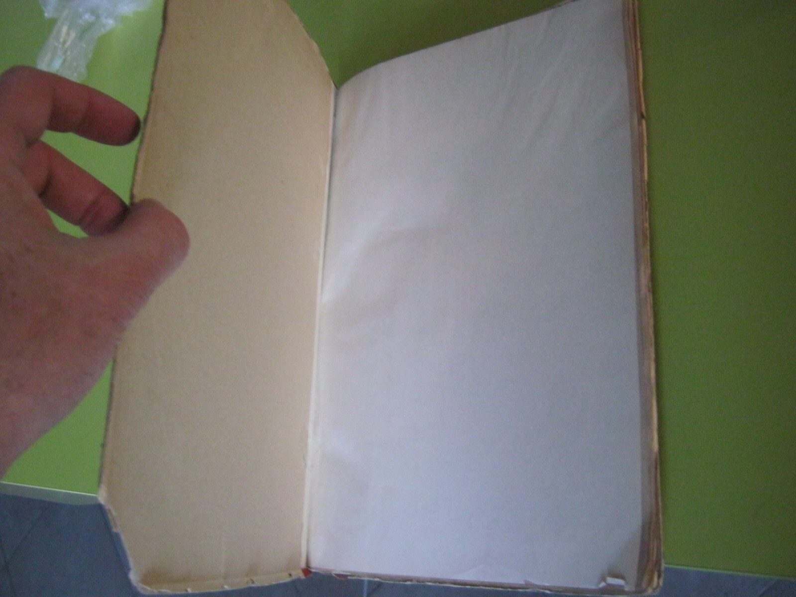 Image 5
