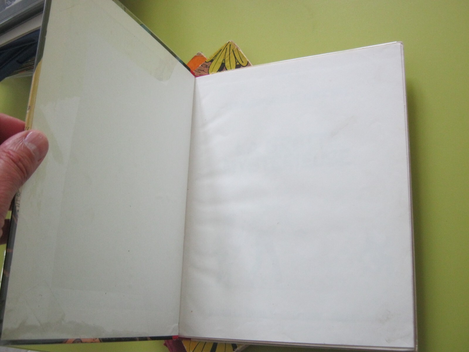 Image 6