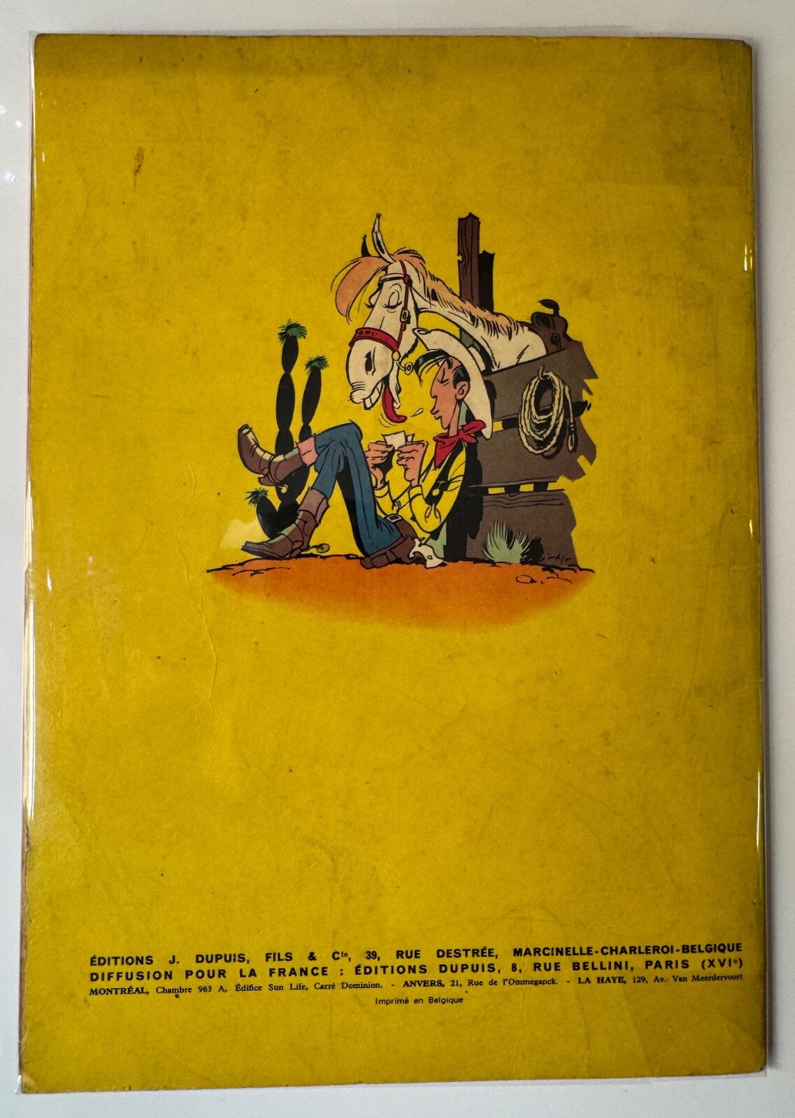 Image 2