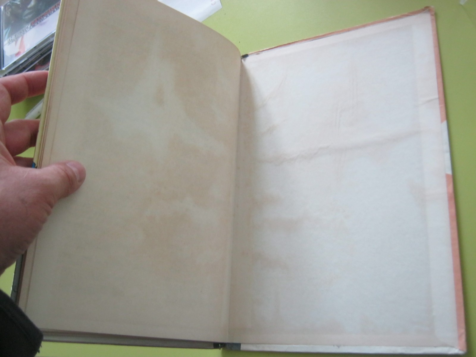 Image 12