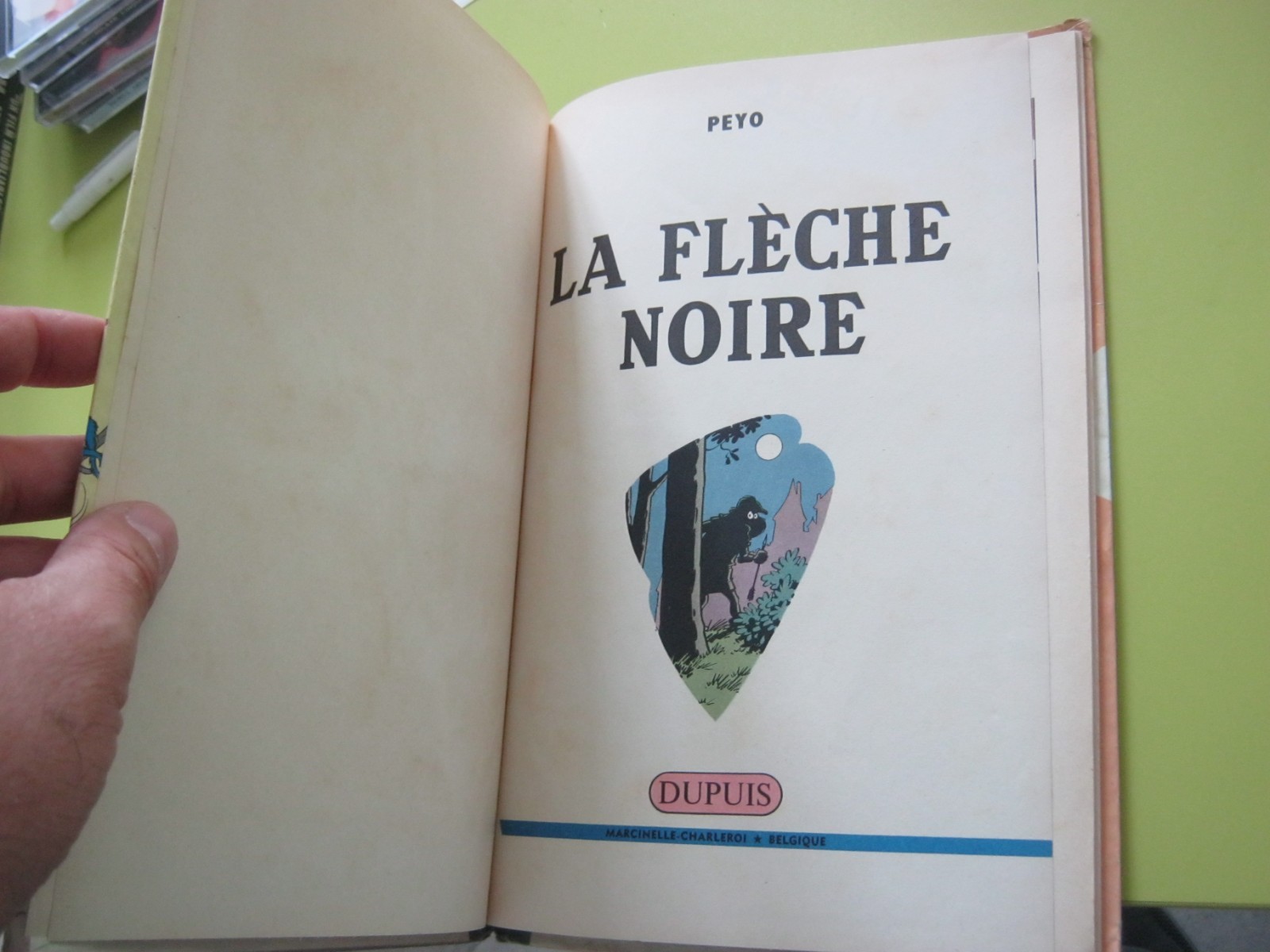 Image 8