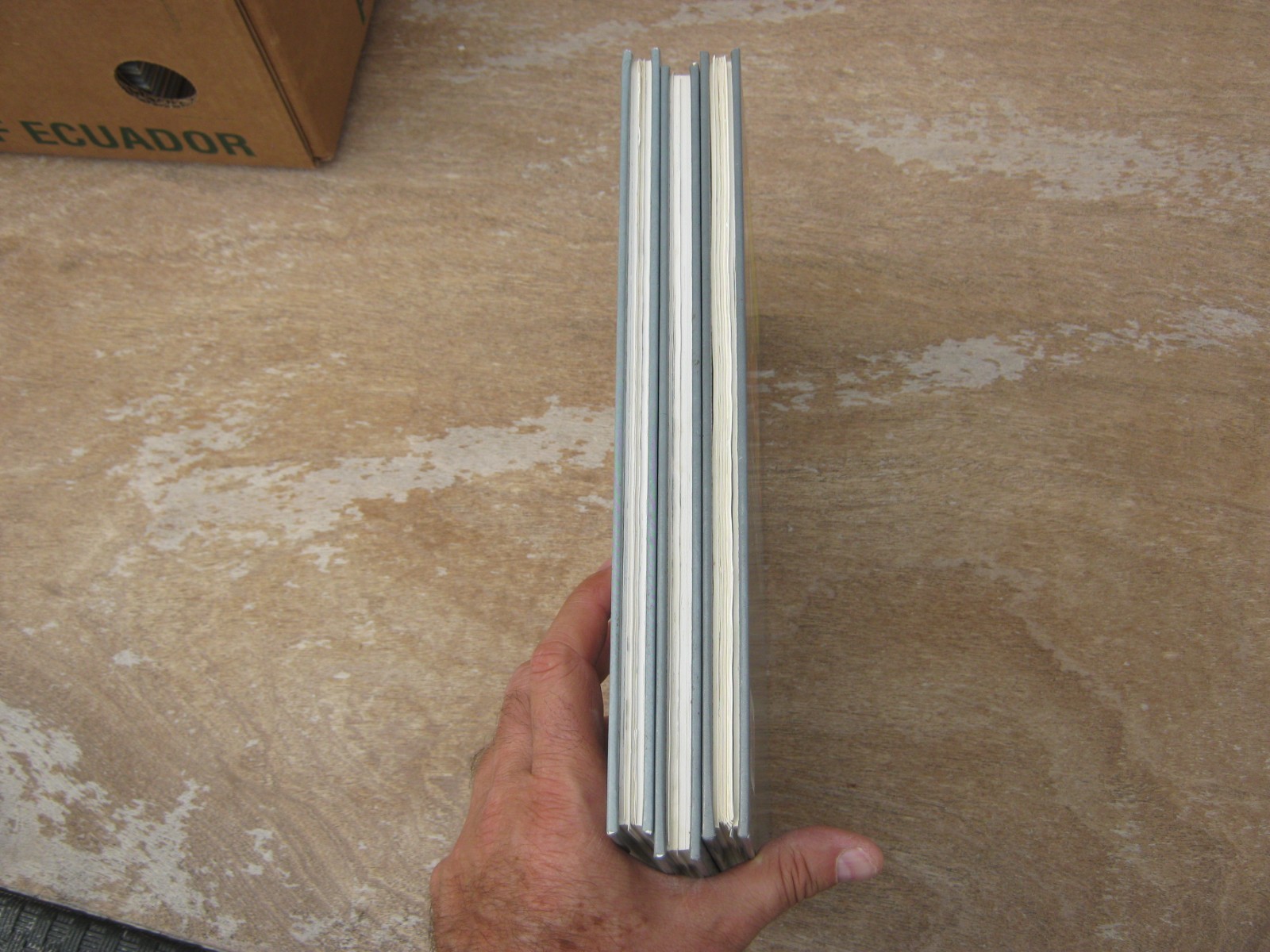 Image 7