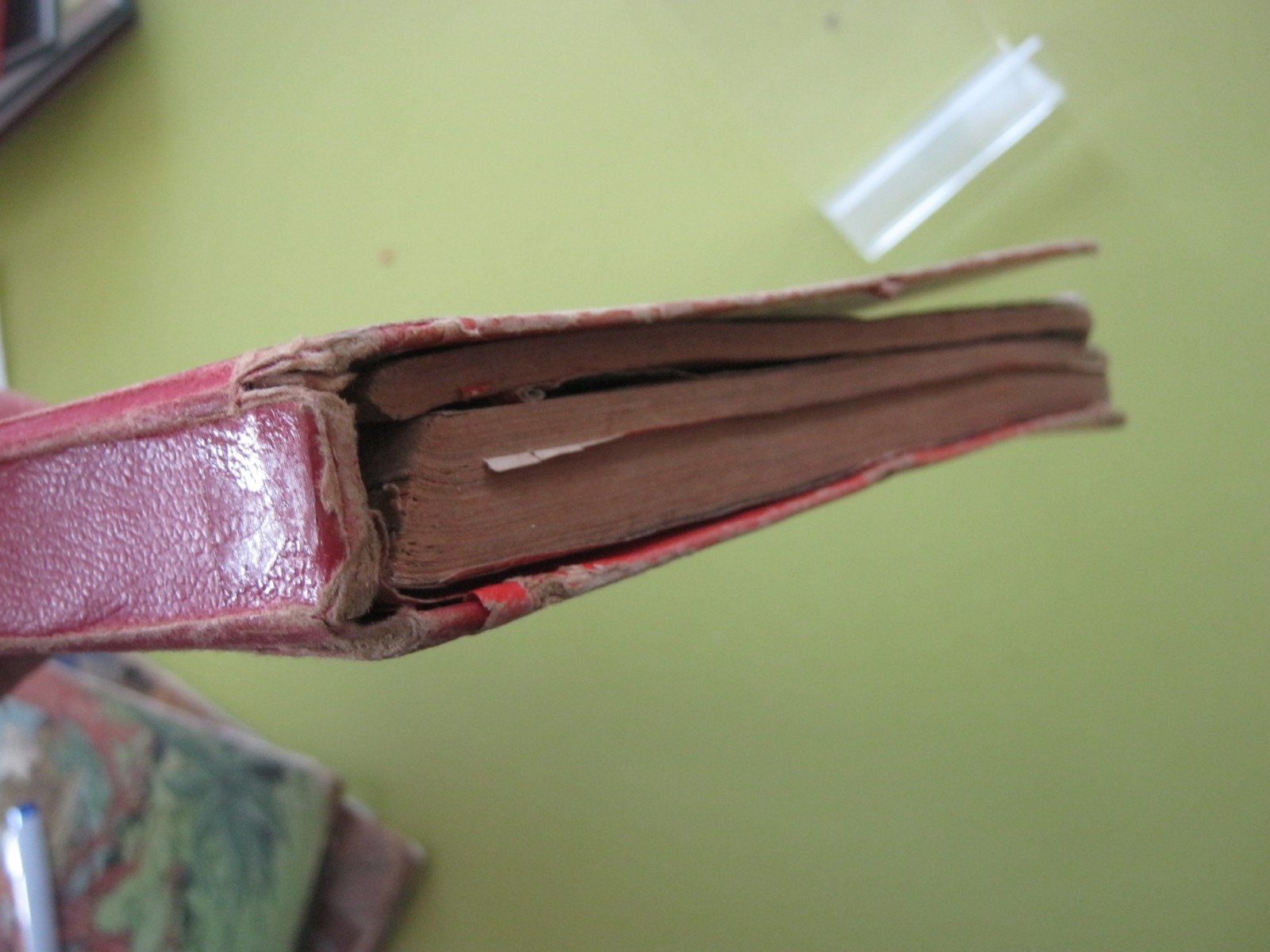 Image 2