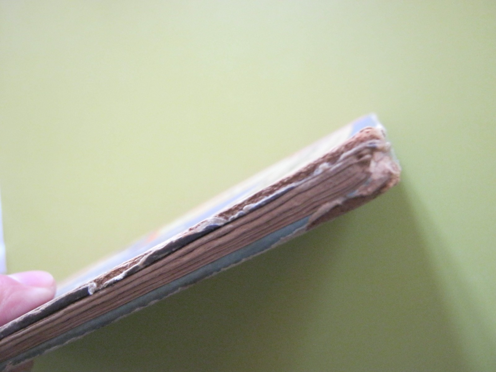 Image 3