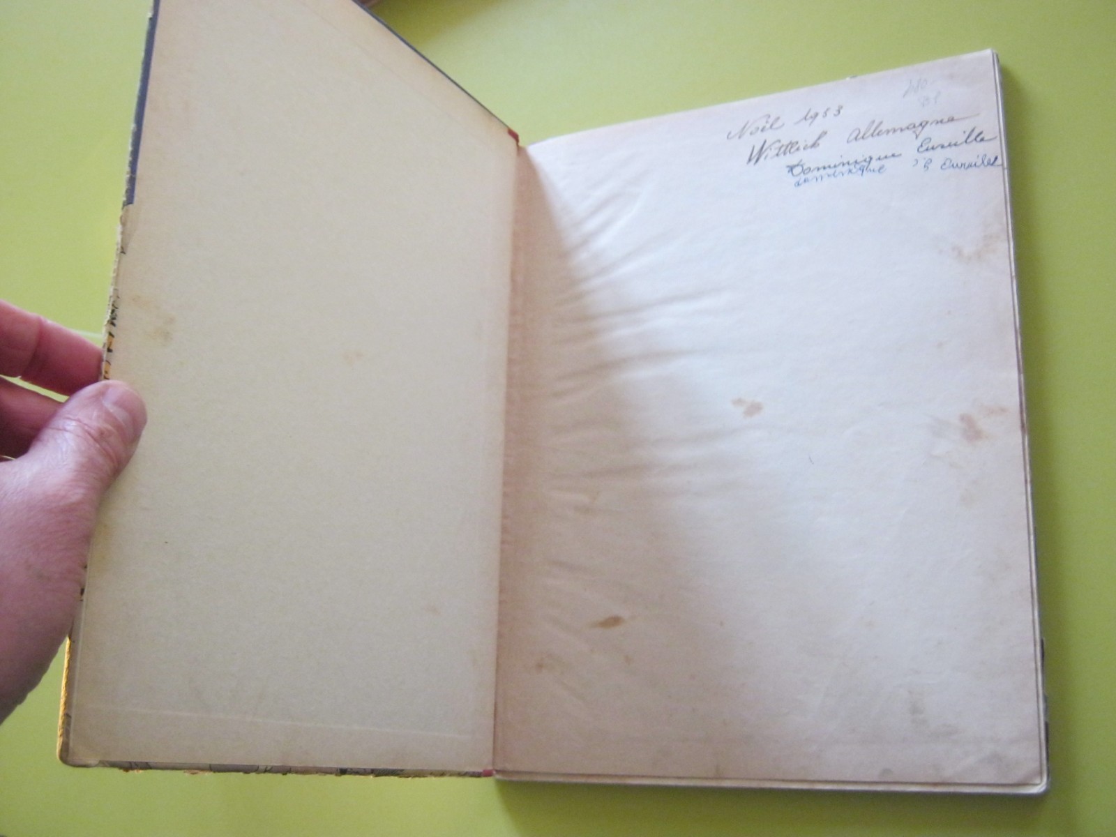 Image 5