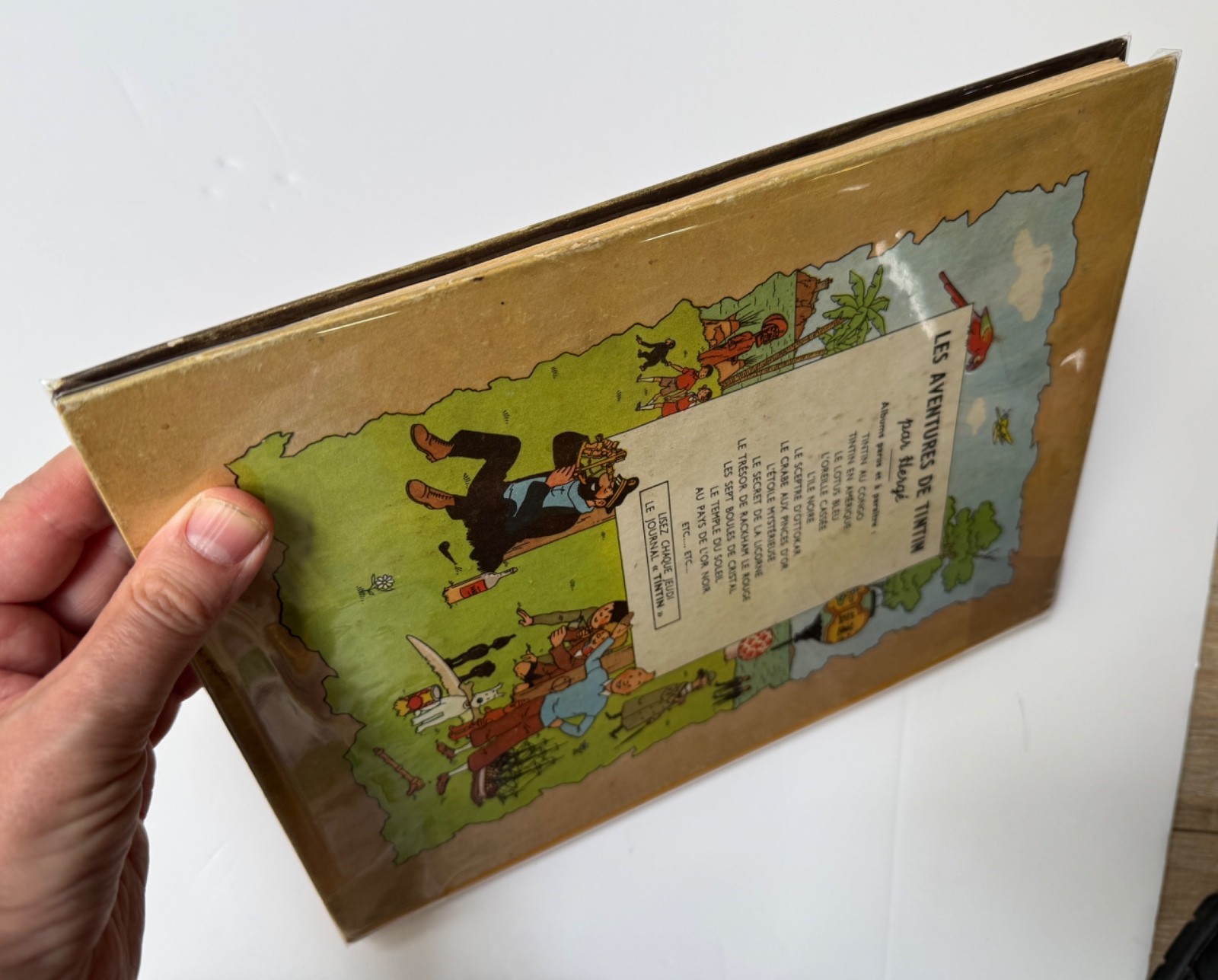 Image 3