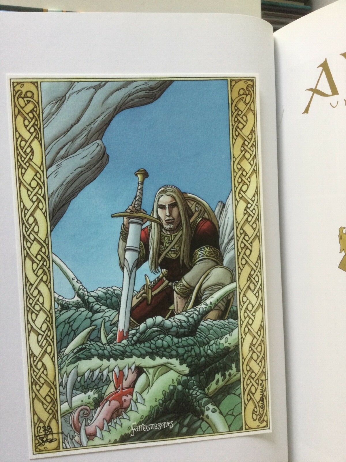 Image 5