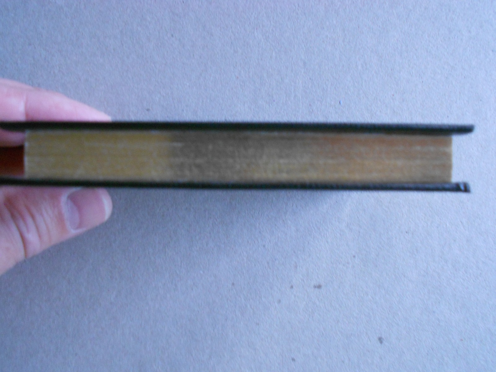 Image 6