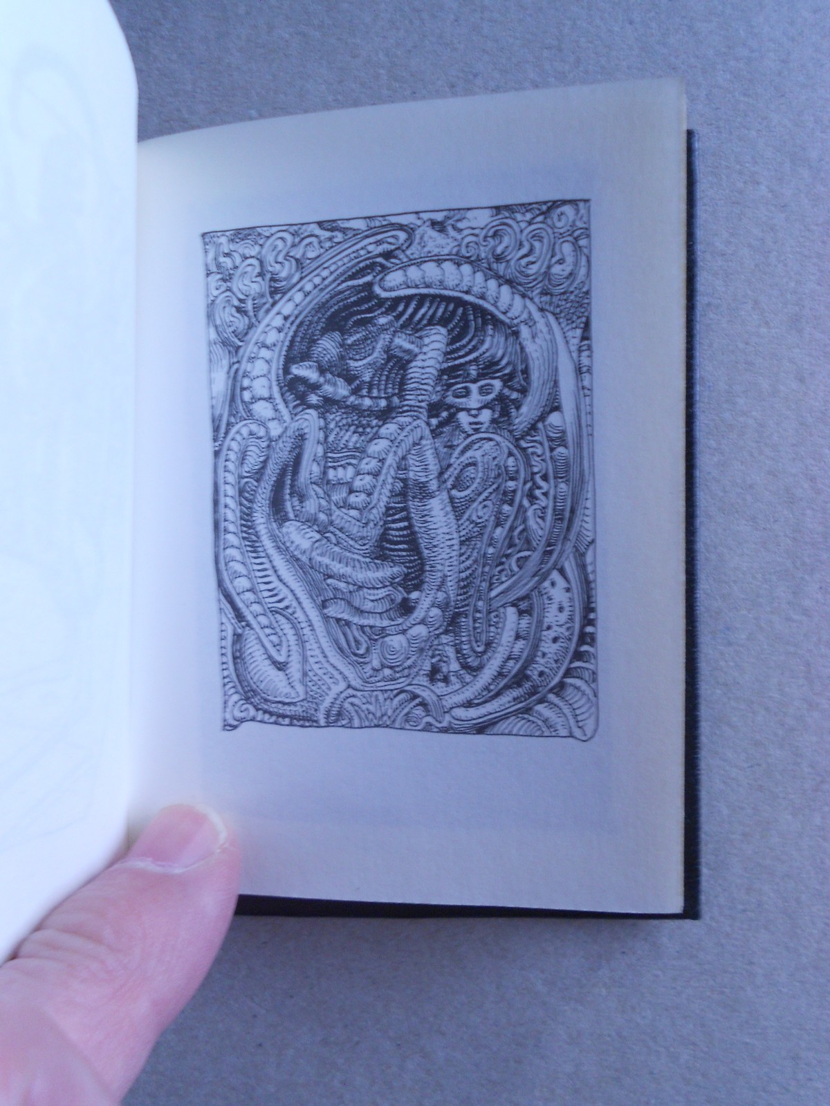 Image 9
