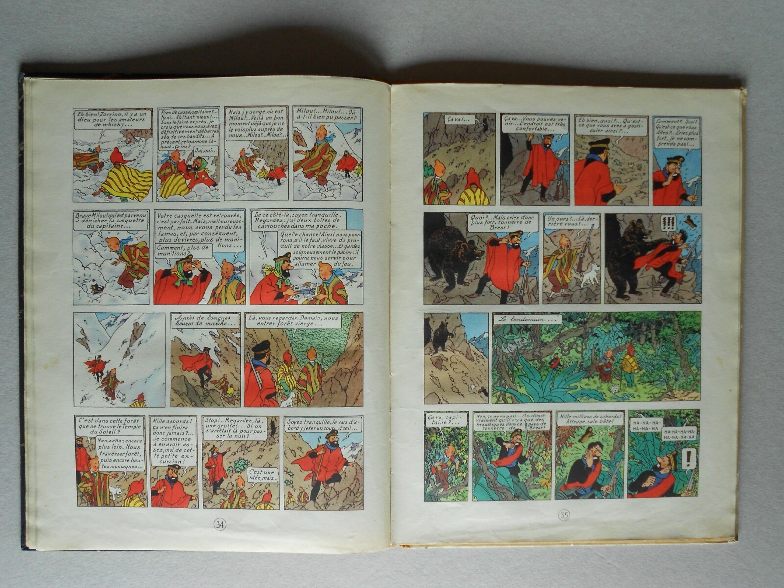 Image 7