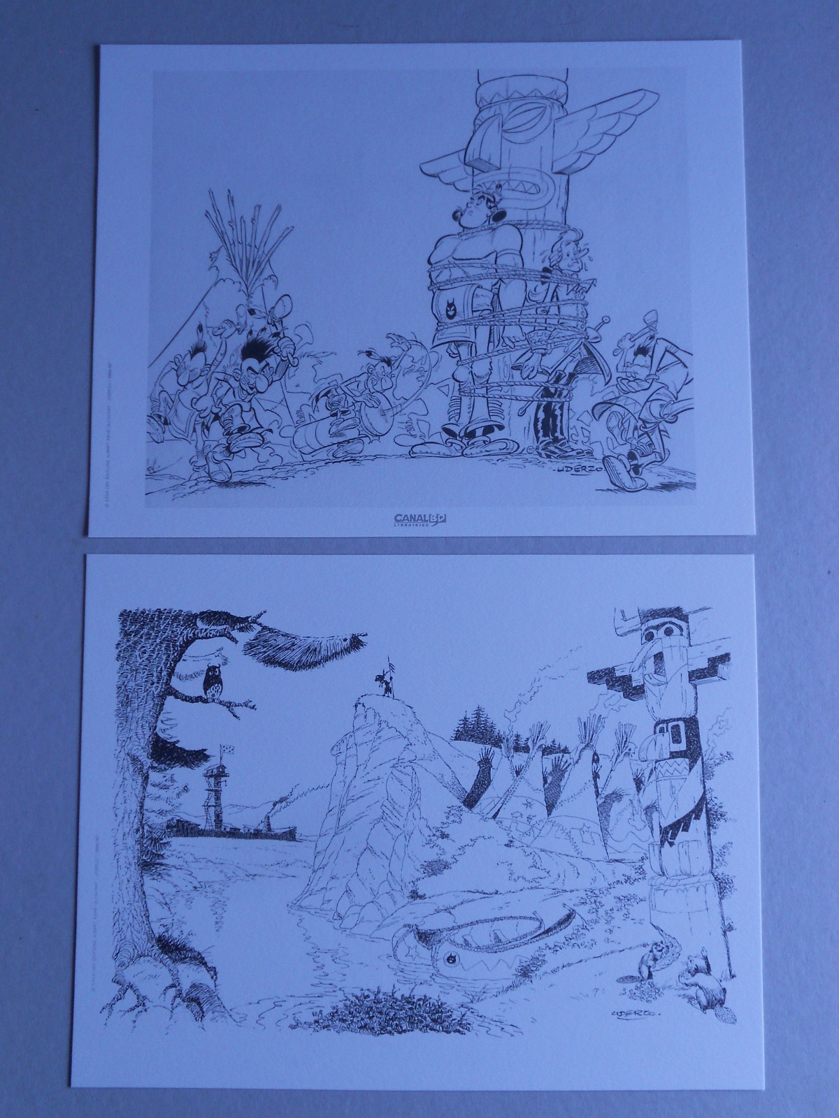 Image 20