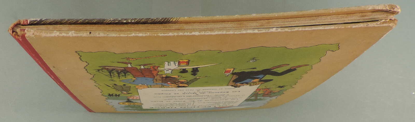 Image 5