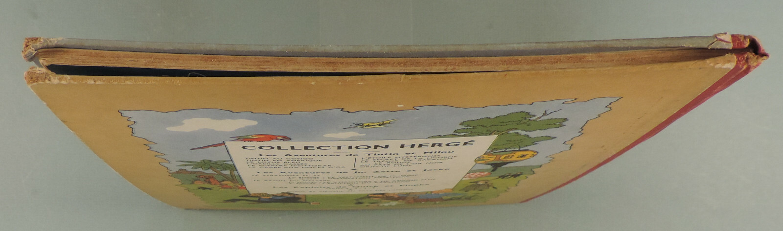 Image 7