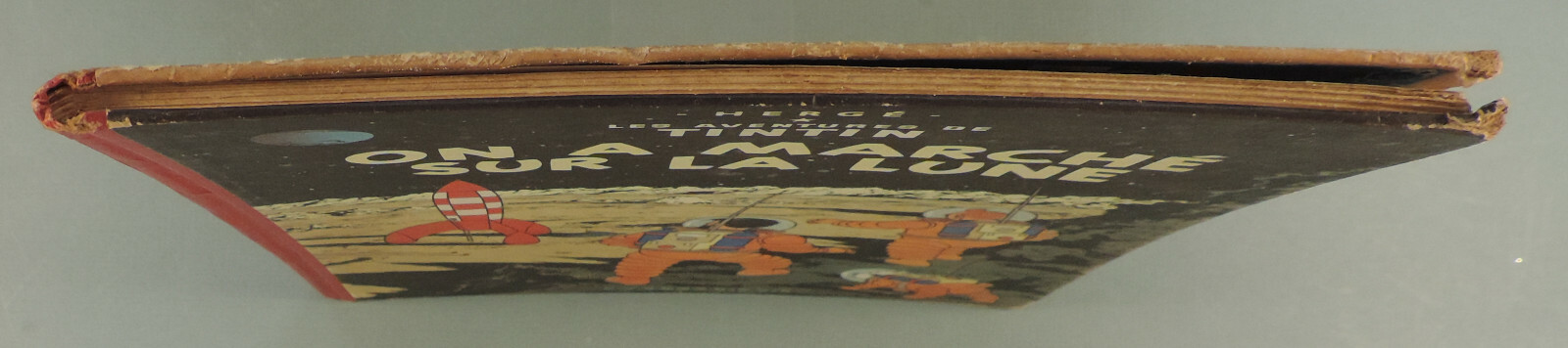 Image 6