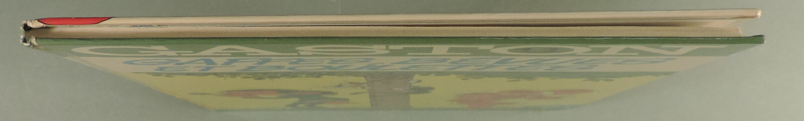 Image 5