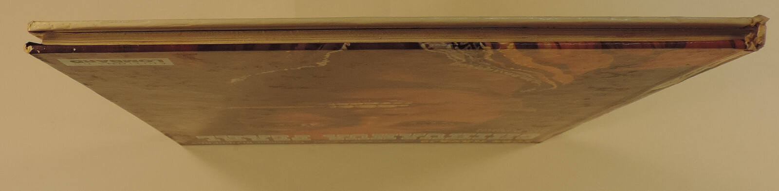 Image 7