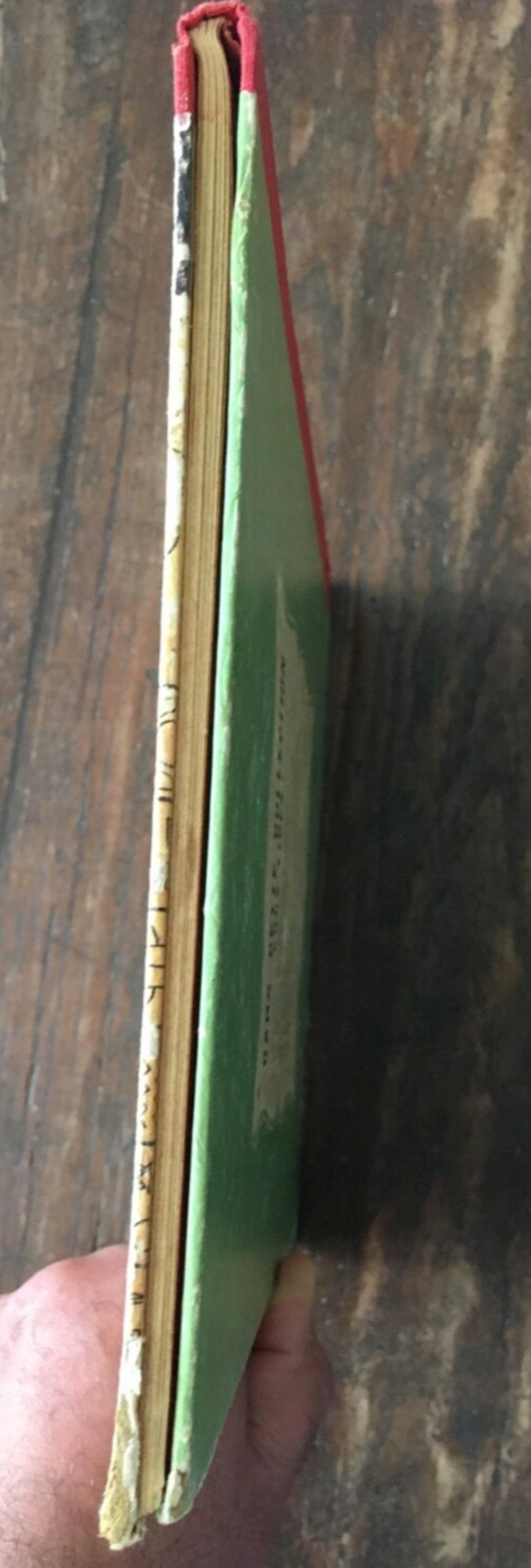 Image 19