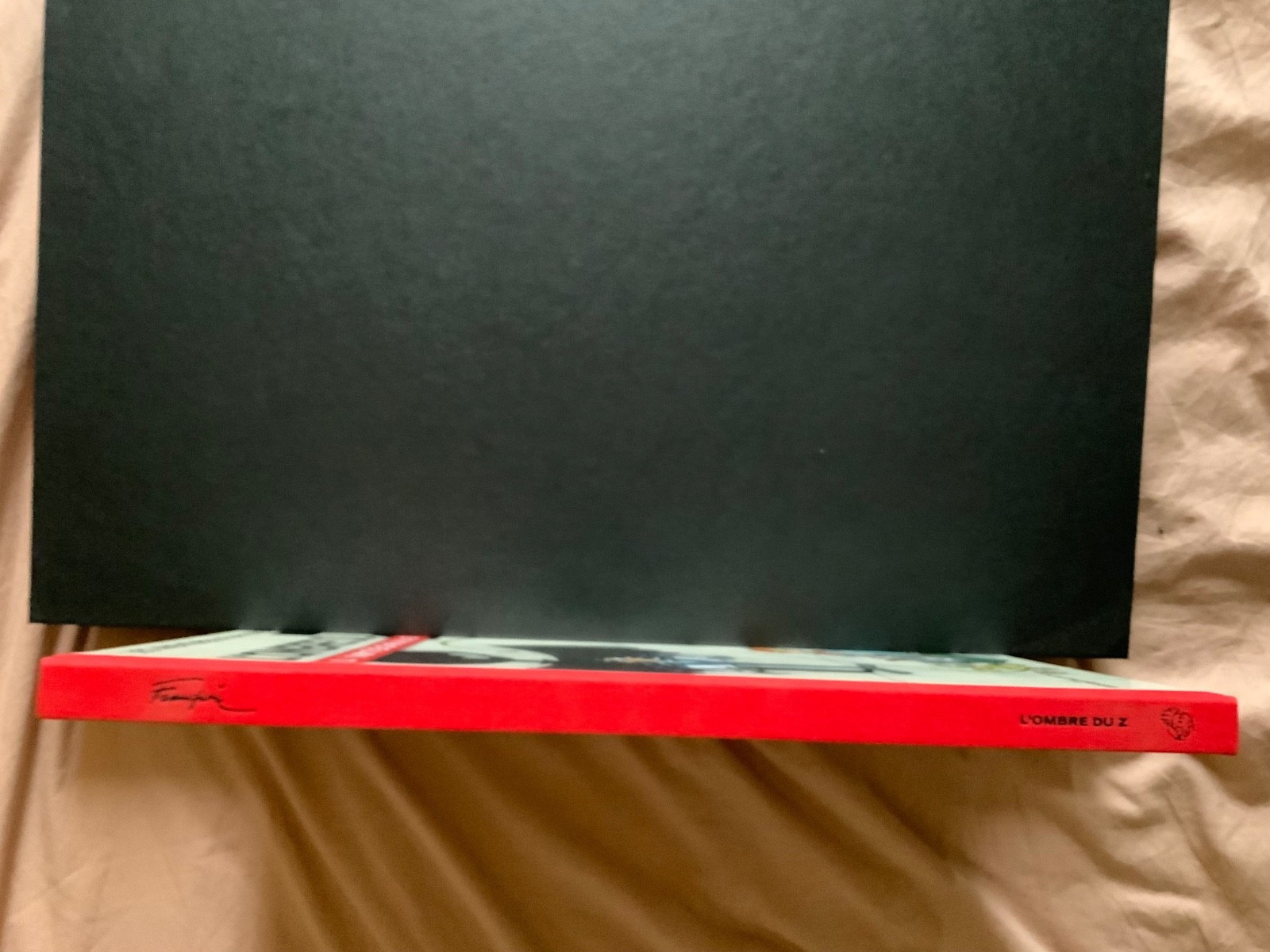 Image 2