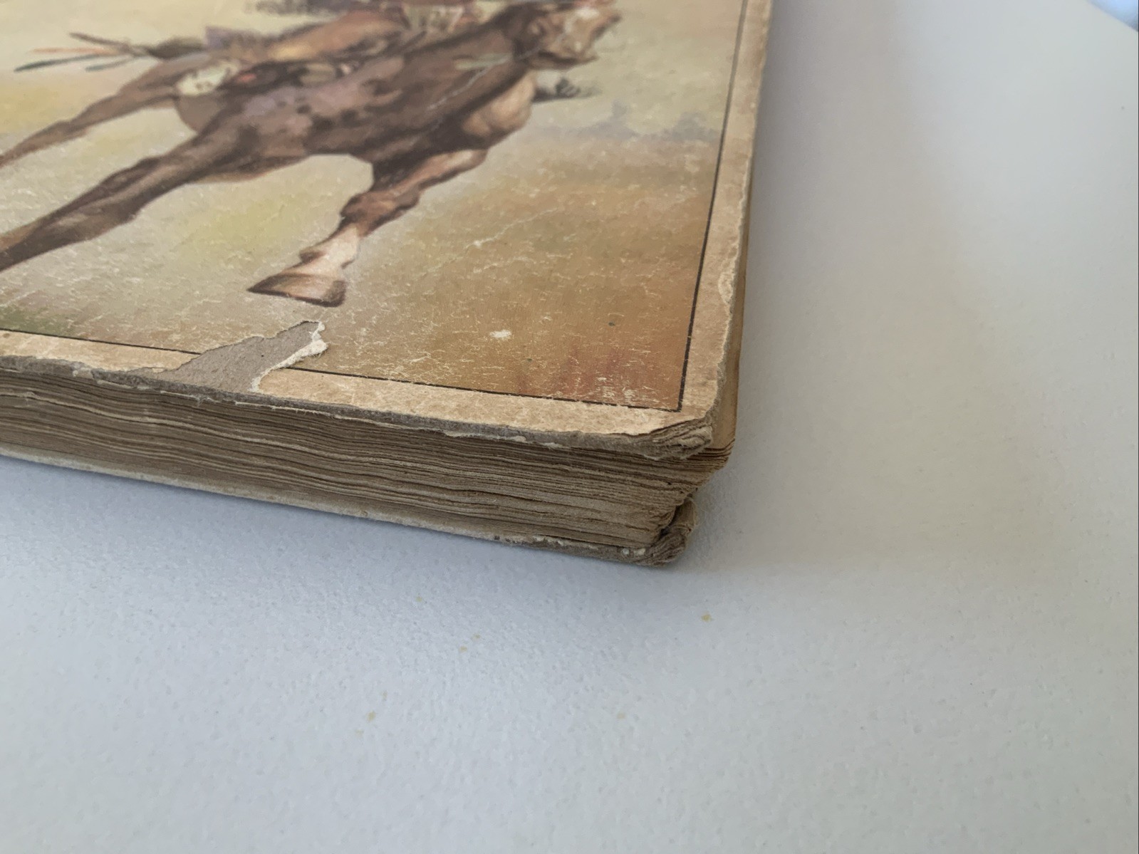 Image 8