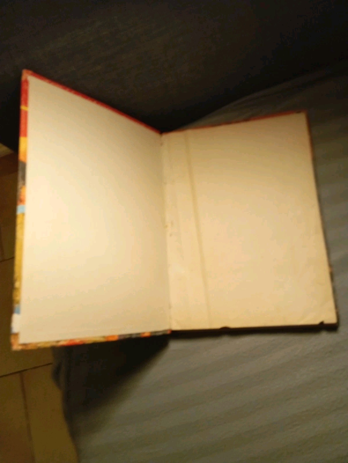 Image 5