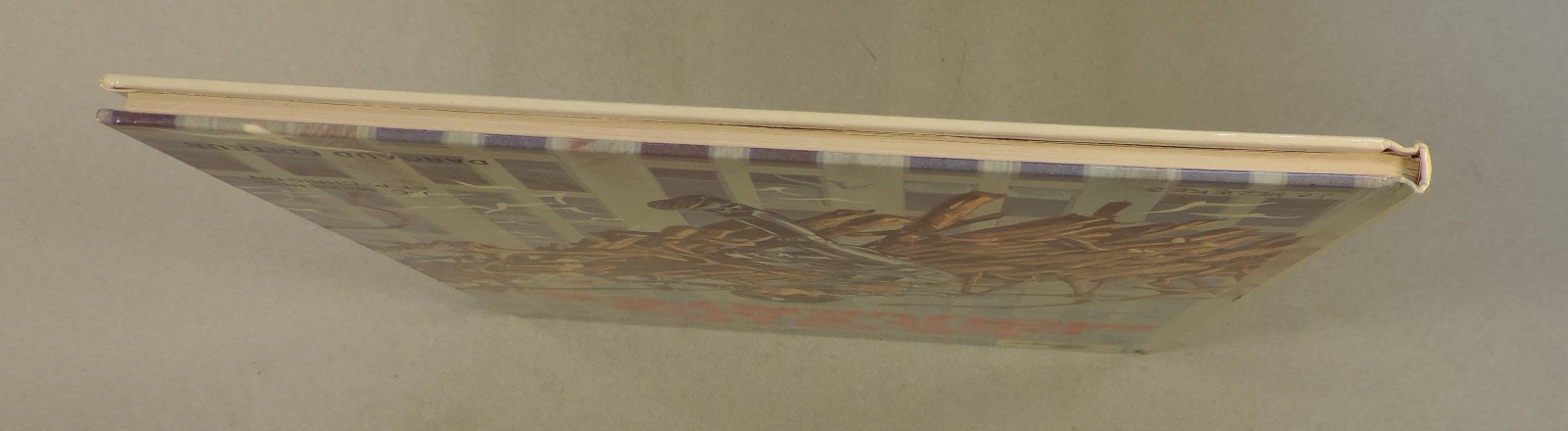 Image 7