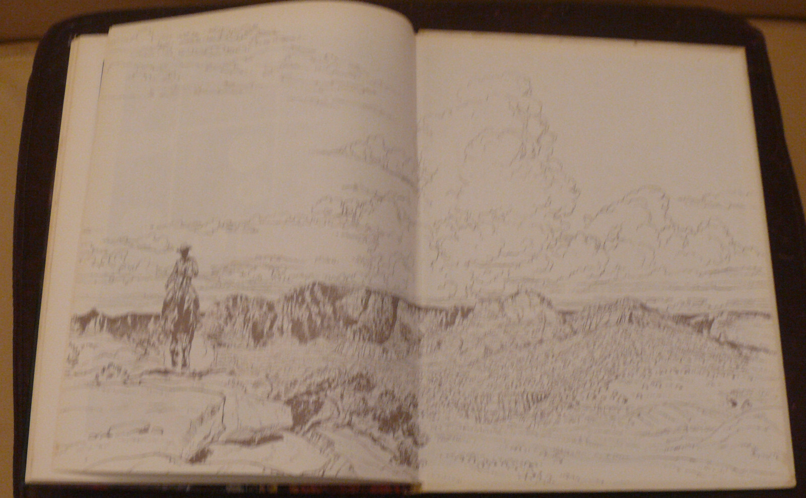 Image 13