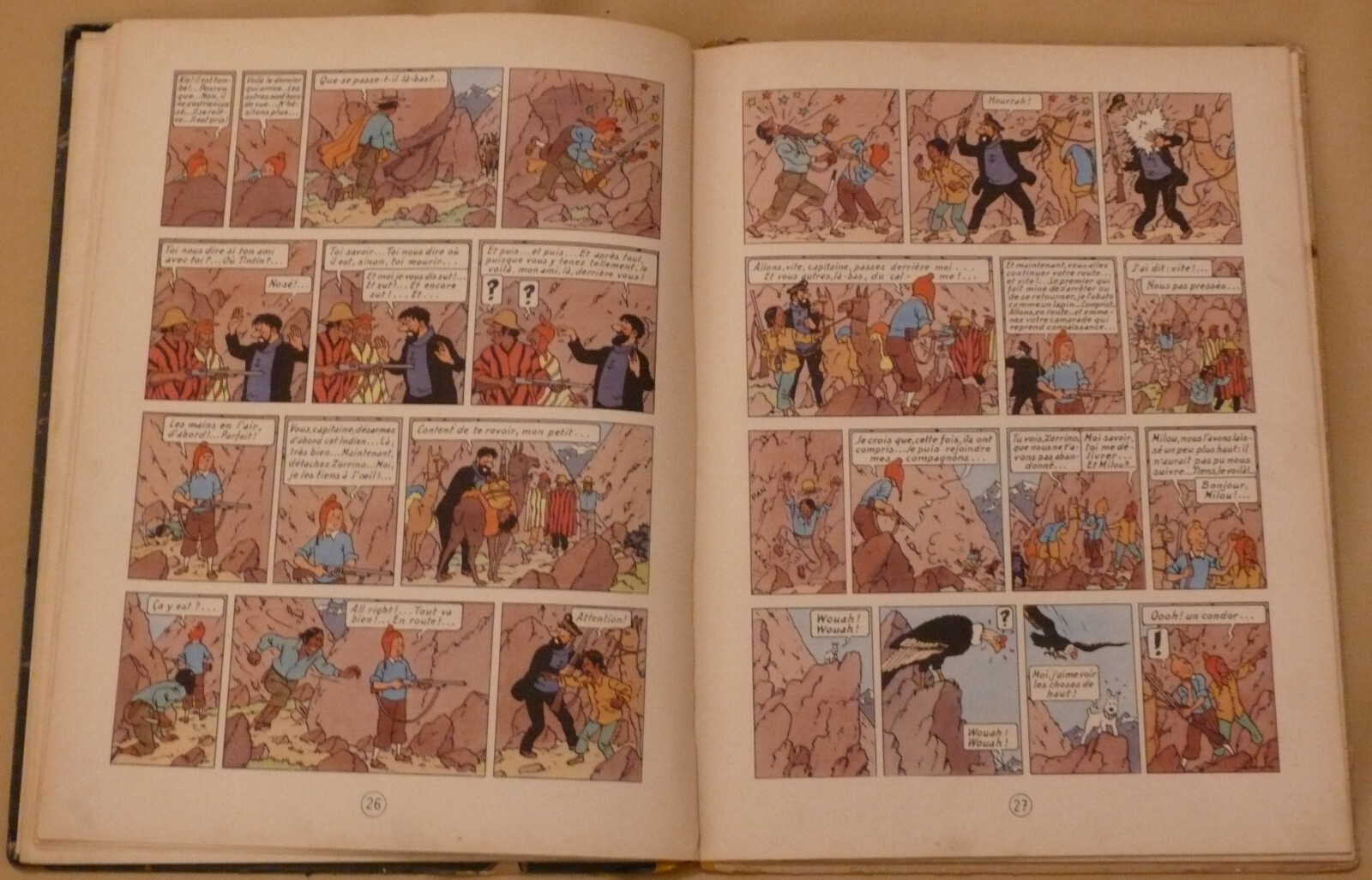Image 7